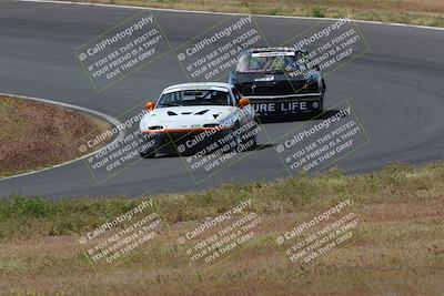 media/May-04-2024-Lucky Dog Racing (Sat) [[d39539b3f3]]/Race Pics/1015am (Turn 2)/